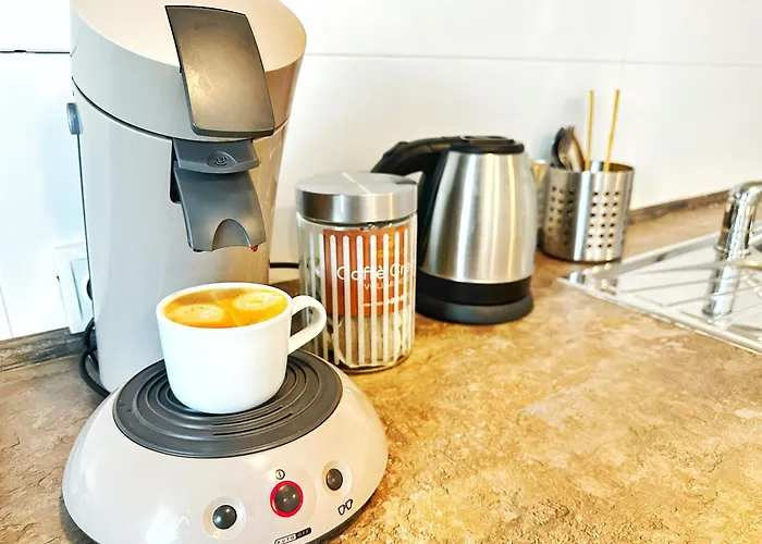 Plermont Luxury Coresi Kasper *